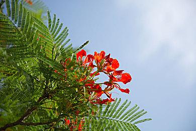 进入关键阶段 横山正义透露《如龙8》开发进展